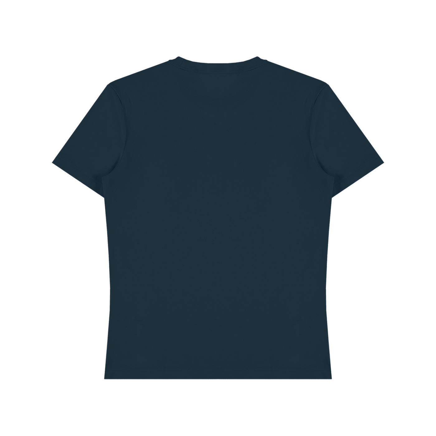Unisex Heavyweight Cotton T-Shirt