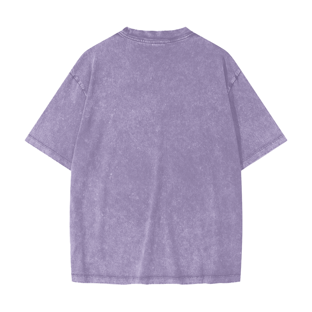 Heavyweight Snow Washed T-Shirt
