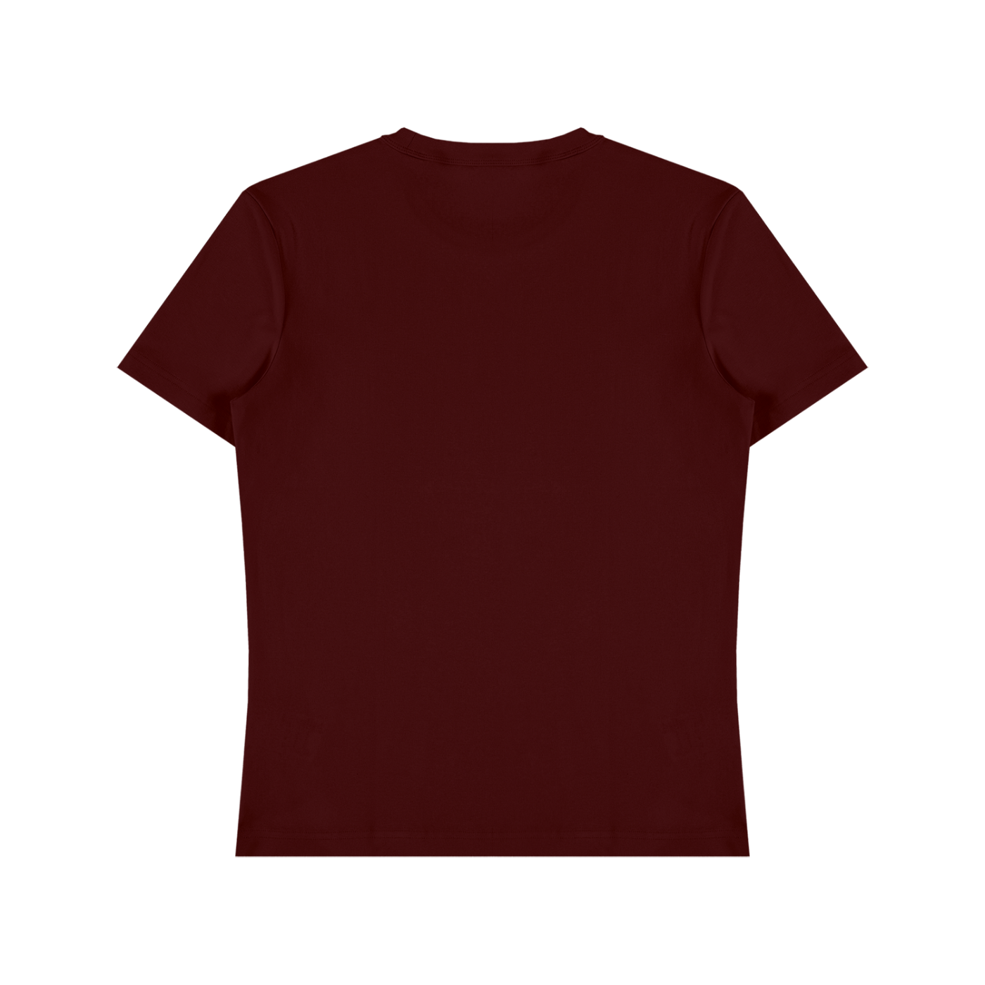 Unisex Heavyweight Cotton T-Shirt