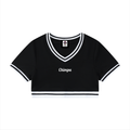 Women's Color Block V-Neck Crop T-Shirt