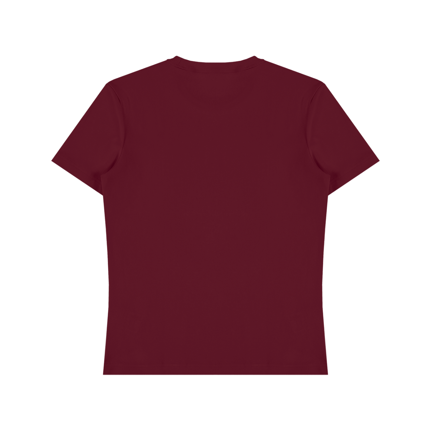 Unisex Heavyweight Cotton T-Shirt